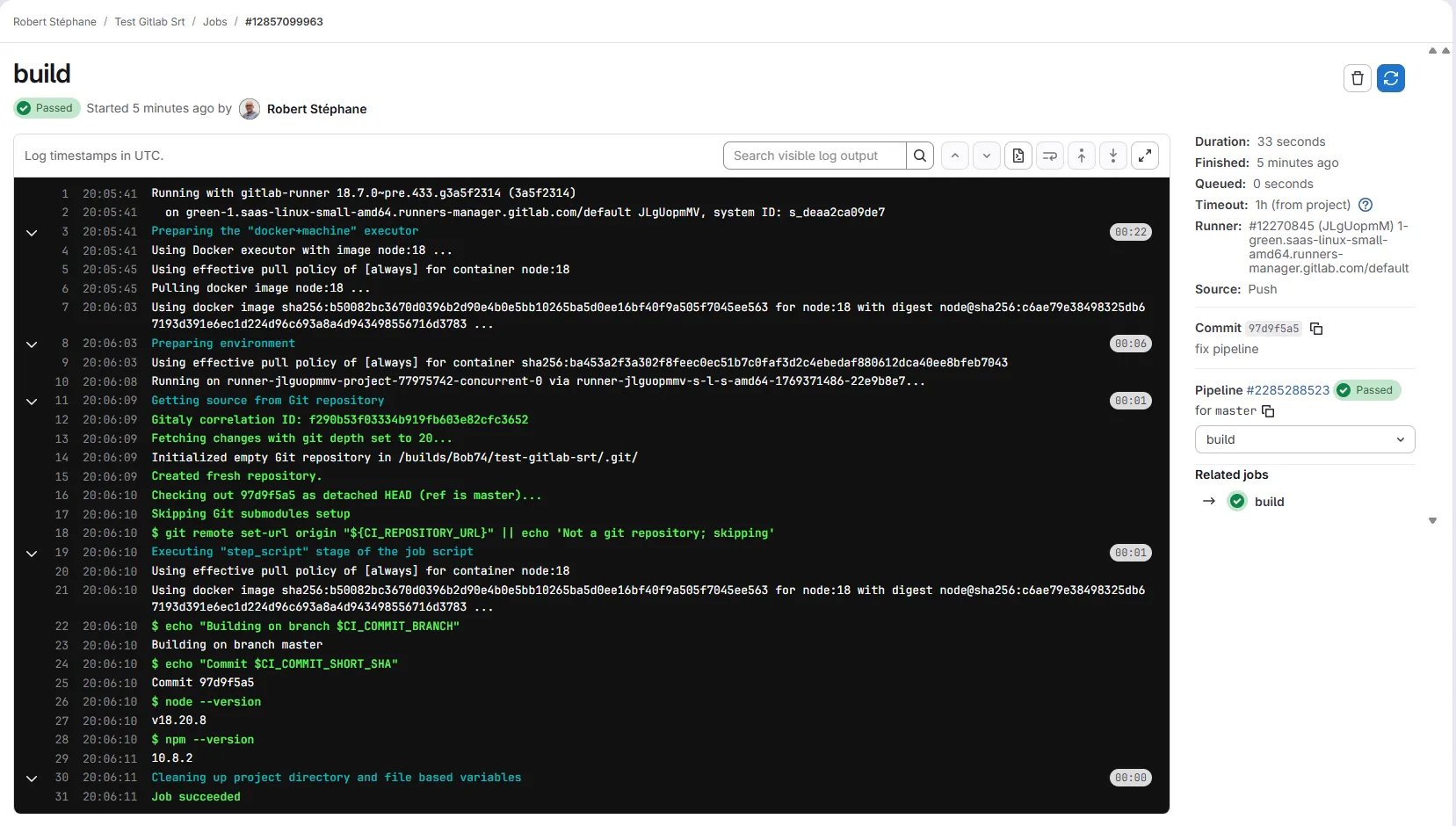 Logs of a GitLab CI job while it runs