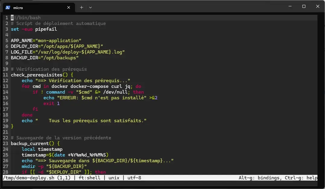 Micro interface with bash syntax highlighting, line numbers and status bar