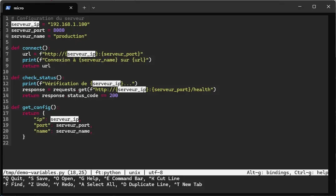 Multiple cursors added one by one with Alt+N on the occurrences of serveur_ip in a Python file