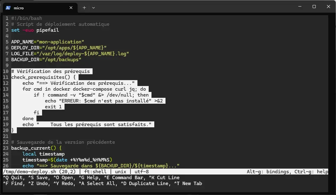 Text selection highlighted in micro with Shift+Arrows on a block of code
