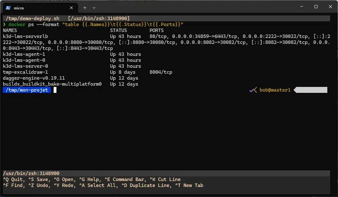 Built-in terminal in micro: code at the top and an interactive shell at the bottom in a horizontal split